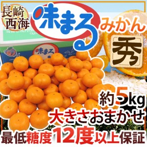 長崎 西海 ”味まるみかん” 秀品 約5kg 大きさおまかせ 最低糖度12度保証 送料無料