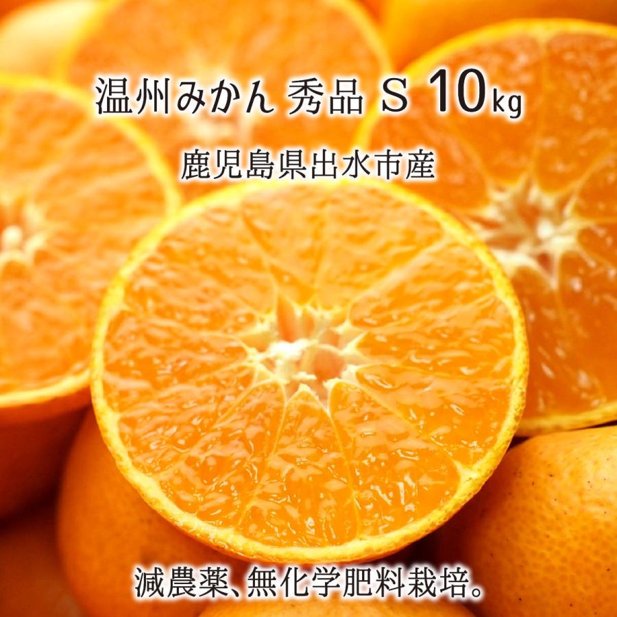 温州みかん 秀品 小玉 S 10kg 鹿児島県出水市産 減農薬 無化学肥料 特別栽培 ミカン 10月下旬〜12月中旬 送料無料