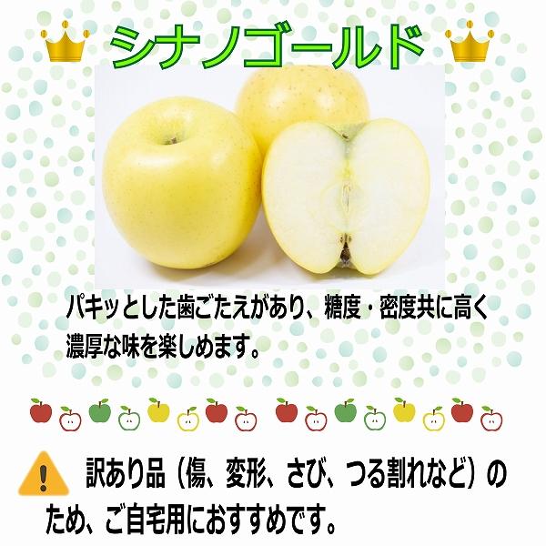 りんご シナノゴールド 20玉 送料無料 訳あり ご自宅用 岩手県産 産地直送