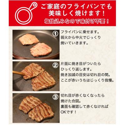 ふるさと納税 岩手県 低温管理!肉厚牛たん(タン元)500g(K6-022)