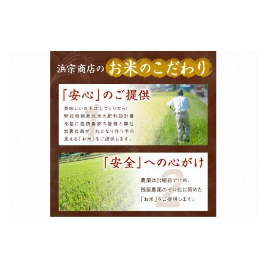 ふるさと納税 京都府 京丹後市 無洗米・定期便（3回）／2023年産 京都・丹後コシヒカリ 無洗米 5kg  作り手が見えるコシヒカリを無洗米に！ …