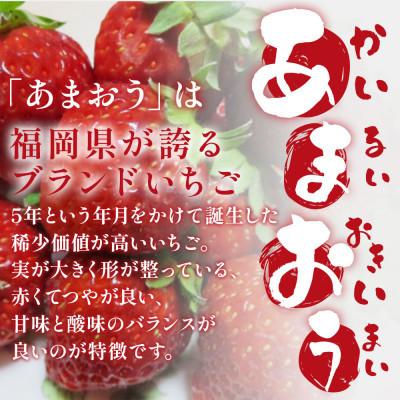 ふるさと納税 川崎町 あかい・まるい・おおきい・うまい「博多あまおう」の冷凍あまおう　合計2kg(川崎町)