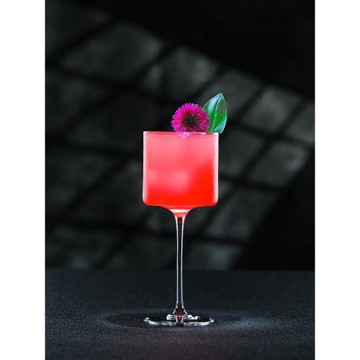 PRE05 CRISON柯瑞森無鉛水晶玻璃高腳雞尾酒杯香檳杯美式冷飲水杯