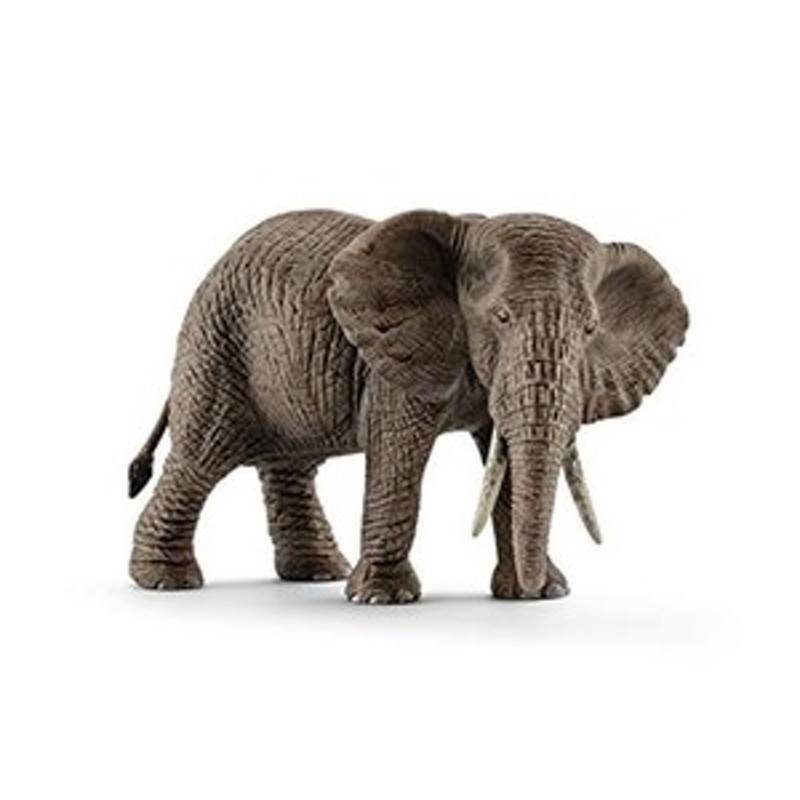 schleich シュライヒ ワイルドライフ アフリカ象 フィギュア | LINE