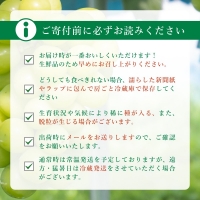 シャインマスカット　2房　1.3kg相当