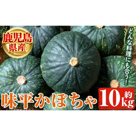 ふるさと納税 ＜先行予約受付中！2024年5月より順次発送＞鹿児島県産 味平かぼちゃ(約10kg) 国産 野菜 かぼちゃ カボチャ 南瓜 煮物 天ぷら .. 鹿児島県阿久根市