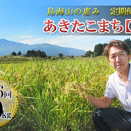 2ヶ月ごとに5kg×6回 鳥海山の恵み 農家直送！ あきたこまち（玄米・隔月）