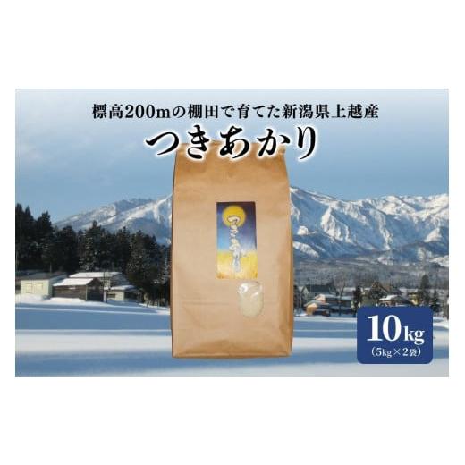 ふるさと納税 新潟県 上越市 標高200ｍで育てた棚田米｜令和5年産・新潟上越産・早生品種つきあかり精米10kg（5kg×2袋）