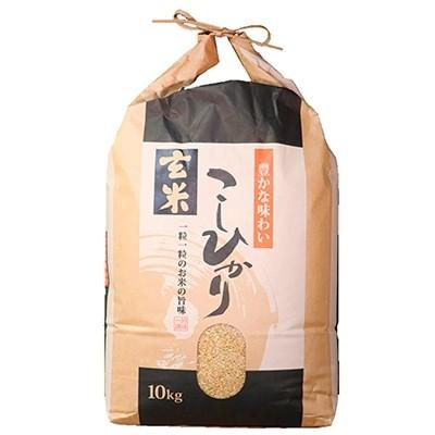 ふるさと納税 七尾市 令和5年産　石川県能登産こしひかり　玄米10kg(10kg×1袋)