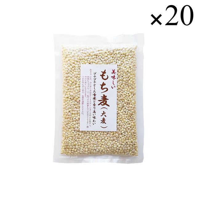 国産 もち麦 (大麦) 200g×20袋セット [オノシン]