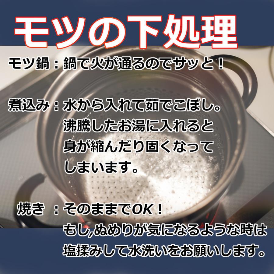 国産豚サキシロ 100g 市場直送 ハマモツ 焼きとん  バーベキュー 焼肉 白モツ