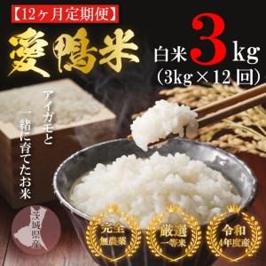 ふるさと納税 L-10 アイガモと一緒に育てたお米「愛鴨米・白米」3kg×12回 茨城県行方市