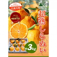 採れたてフレッシュ! 超完熟・葉付き 不知火 3kg まるまつ農園《3月中旬-4月末頃より順次出荷》  和歌山県 日高川町 不知火 柑橘 しらぬい  完熟