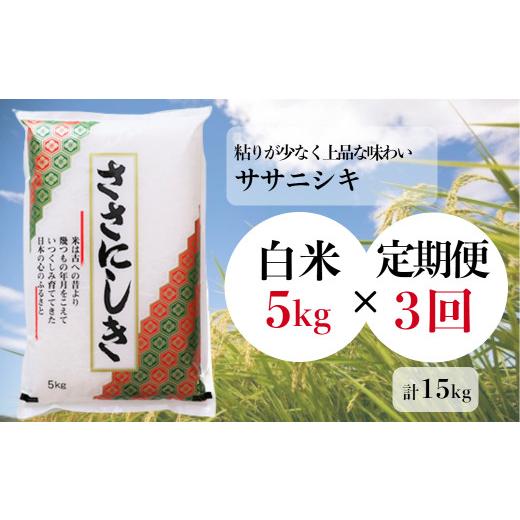 ふるさと納税 岩手県 一関市 -進さんのお米「ササニシキ／白米」 5kg