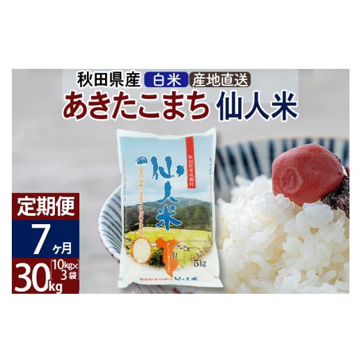 ふるさと納税 秋田県 東成瀬村 新米 令和5年産 あきたこまち 秋田県産「仙人米」白米 30kg（10kg×3袋）