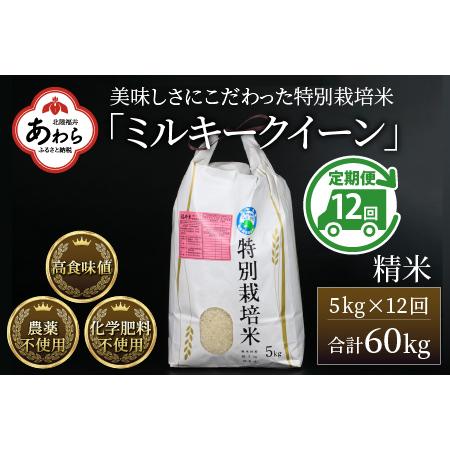 ふるさと納税 《定期便12回》 特別栽培米 ミルキークイーン 精米 5kg (計60kg)  農薬不使用 化学肥料不使用 ／ 高品質 鮮度.. 福井県あわら市