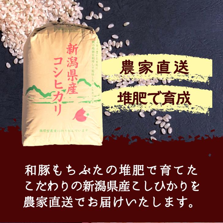 新米 5年産 米 新潟 コシヒカリ 玄米 30kg コシヒカリ 通販 こしひかり 玄米 30kg 減農薬 農家 直送 生産者 コシヒカリ 新潟県産 精米サービス