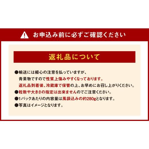 ふるさと納税 福岡県 香春町 エコファーマー あまおう 約280g×2パック 計560g