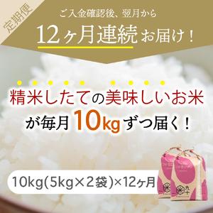 ふるさと納税  米 10kg つがるロマン 青森県産 （精米・5kg×2袋） 青森県五所川原市