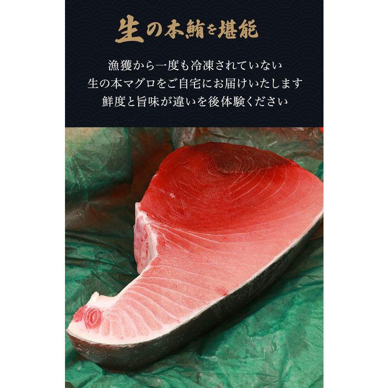 高級寿司屋御用達生の本マグロ 約400g~約700g 豊洲市場 から直送 本鮪 刺身 中トロ 赤身 トロ