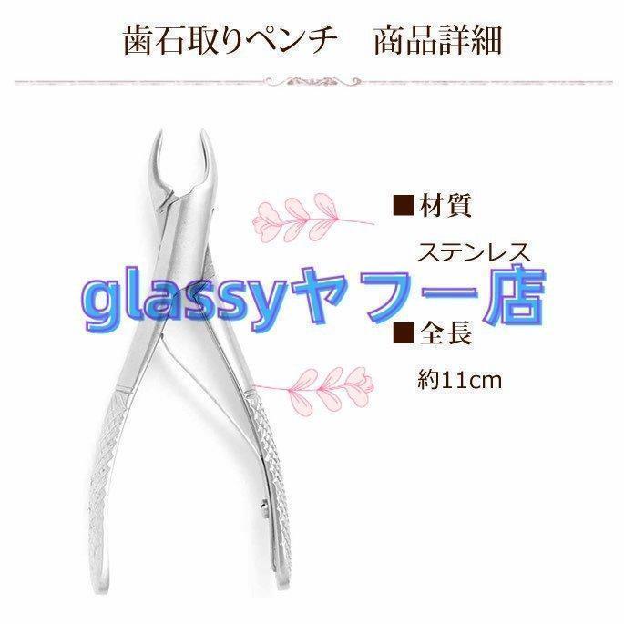 即納 愛犬・愛猫用 歯石取り ペンチ 犬 歯石 デンタルケア ホームケア ...