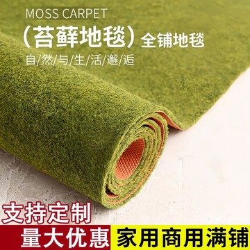 🔥臺灣出貨🔥苔蘚綠色地毯大面積滿鋪吸水防滑臥室客廳陽臺全鋪地墊人仿真草皮