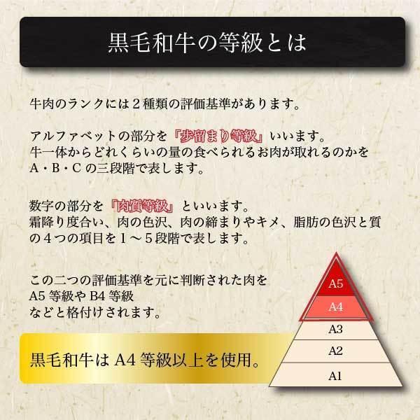 黒毛和牛 焼肉 セット 1人前 お試しセット カルビ ロース ハラミ 300g プレゼント