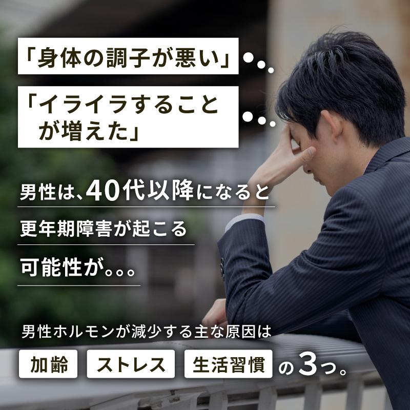 ミックスナッツ 無塩 無添加 無香料 70g 単品 素焼き アーモンド カシューナッツ くるみ ナッツ MIX ナッツ おつまみ ダイエット ロースト