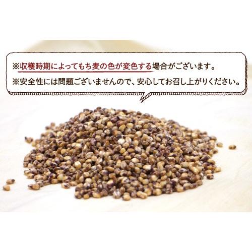 もち麦 国産 250g 雑穀 雑穀米 食物繊維 無添加 令和元年度 β-グルカン ダイエット ヘルシー 美容 健康 送料無料