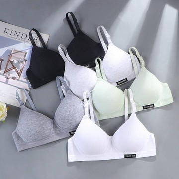 小紅書同款 純棉內衣 少女內衣 學生無鋼圈內衣 薄款聚攏內衣 防走光內衣 質量款公司貨