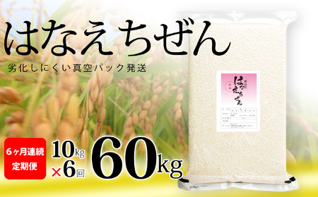 はなえちぜん 白米 5kg×2袋×6回 6ヶ月連続 定期便 60kg 真空パック ハナエチゼン 米 簡易梱包 エコ梱包