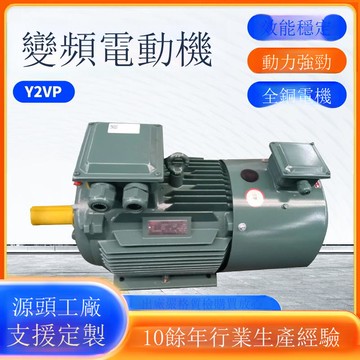 江蘇大中變頻電機Y2VP/YTSP-225M-4P-45KW-B35高效節能變頻電動機[DD1211001]