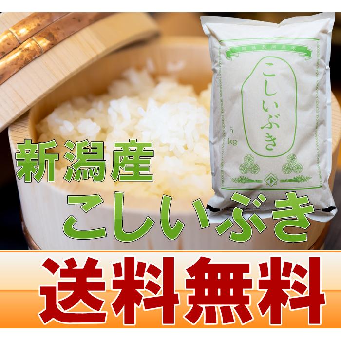 新潟産 こしいぶき 5kg  令和5年 米 新潟 送料無料