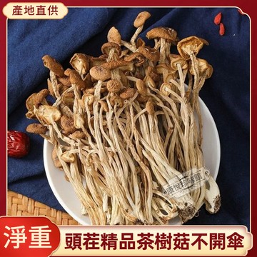 茶樹菇乾貨【淨重】 古田特級當季新貨不開傘茶樹菇幹貨無硫熏 新鮮菌菇類煲湯材料產地直銷批發