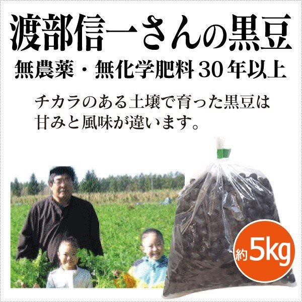 北海道産 無農薬黒豆 渡部信一さんの黒豆（約1kg×5個） 無農薬・無化学肥料栽培30年の美味しい黒豆　渡部信一さんは化学薬品とは無縁の生産者