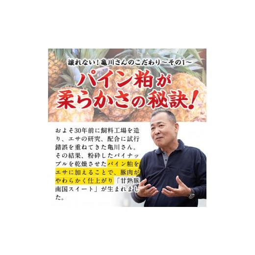 ふるさと納税 鹿児島県 志布志市 t003-003 3ヵ月に1回お届け！ぎょうざ好きのための餃子定期便