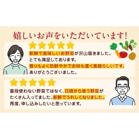 ふるさと納税 有機野菜 オーガニック 野菜 8種セット 野菜詰め合わせ 熊本県産有機野菜 山都町産有機野菜 産地直送 高原野菜 新鮮有機野菜 採れ.. 熊本県山都町