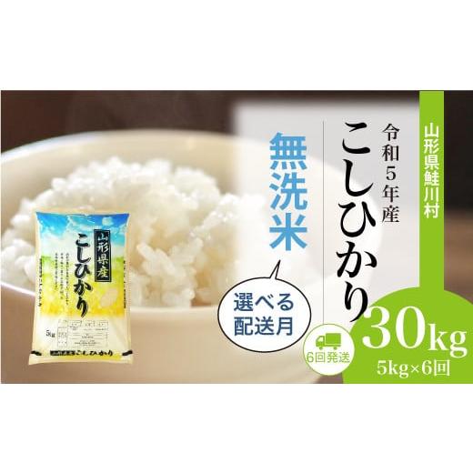 ふるさと納税 山形県 鮭川村 令和5年産　鮭川村　コシヒカリ30kg定期便（5kg×6回発送）