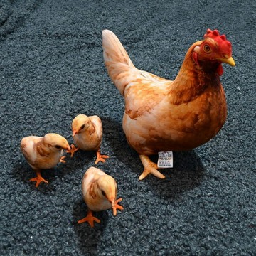 臺灣出貨+免運原創仿真母雞帶小雞仔動物仿真實拍無AI玩偶抱枕