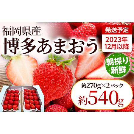 ふるさと納税 農家直送 朝採り新鮮いちご [(約270g)×2パック]＜2023年12月以降順次出荷予定＞ 福岡県田川市