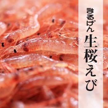 生桜えび100g｜静岡県産　由比｜製造元自社から発送｜