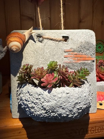 多肉植物 空氣鳳梨 水泥造景花器