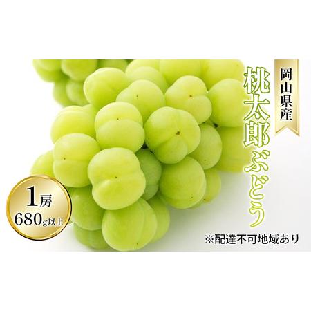 ふるさと納税 ぶどう 2024年 先行予約 桃太郎 ぶどう 1房 680g以上（露地栽培）贈答用 ブドウ 葡萄  岡山県産 国産 フルーツ 果物 ギフト 岡山県瀬戸内市