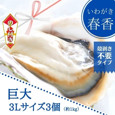 いわがき春香 殻なしタイプ 960g～1.2kg 3Lサイズ3個 岩牡蠣 牡蠣 CAS