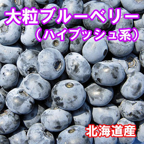 北海道産　令和5年収穫　大粒ブルーベリー（冷凍）２Ｌサイズ５００ｇ×２個