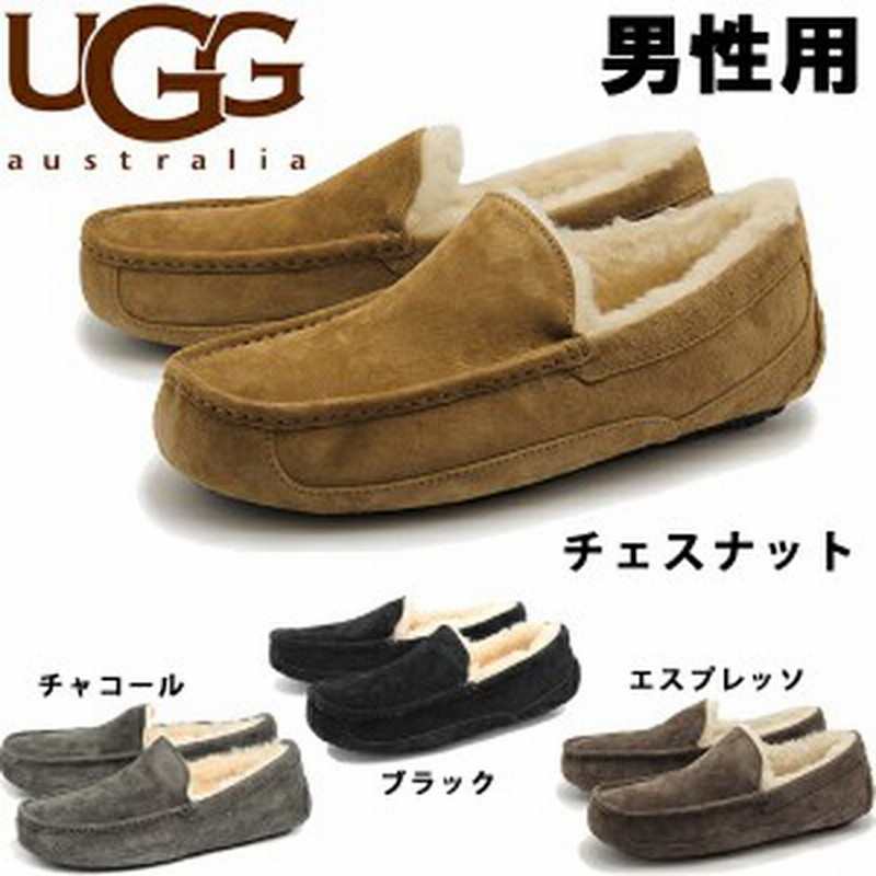 UGG - UGG (アグ)☆メンズアスコット☆新品未使用の+spbgp44.ru