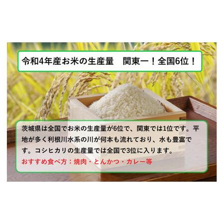 ふるさと納税 令和5年産茨城コシヒカリ　5kg 茨城県守谷市