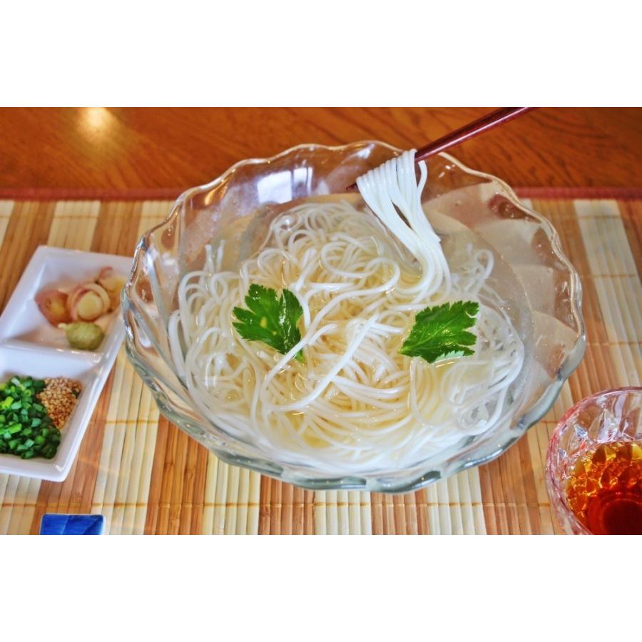 そうめん　ひやむぎ　冷麦　素麺　お取り寄せ　九州熟成そうめん250g×2袋　　九州熟成ひやむぎ250g×2袋　たっぷり1キロ　お試しグルメギフト