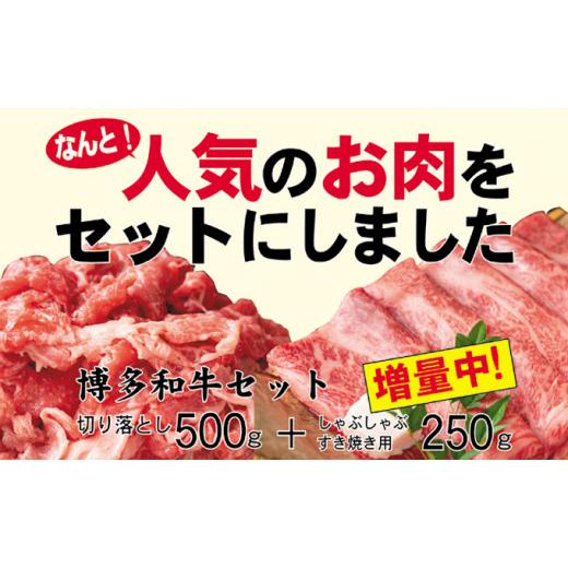 ふるさと納税 福岡県 朝倉市 数量限定 博多 和牛 A4〜A5 しゃぶしゃぶ すき焼き 750g セット（スライス 250g・切り落とし 500g）配送不可：離島