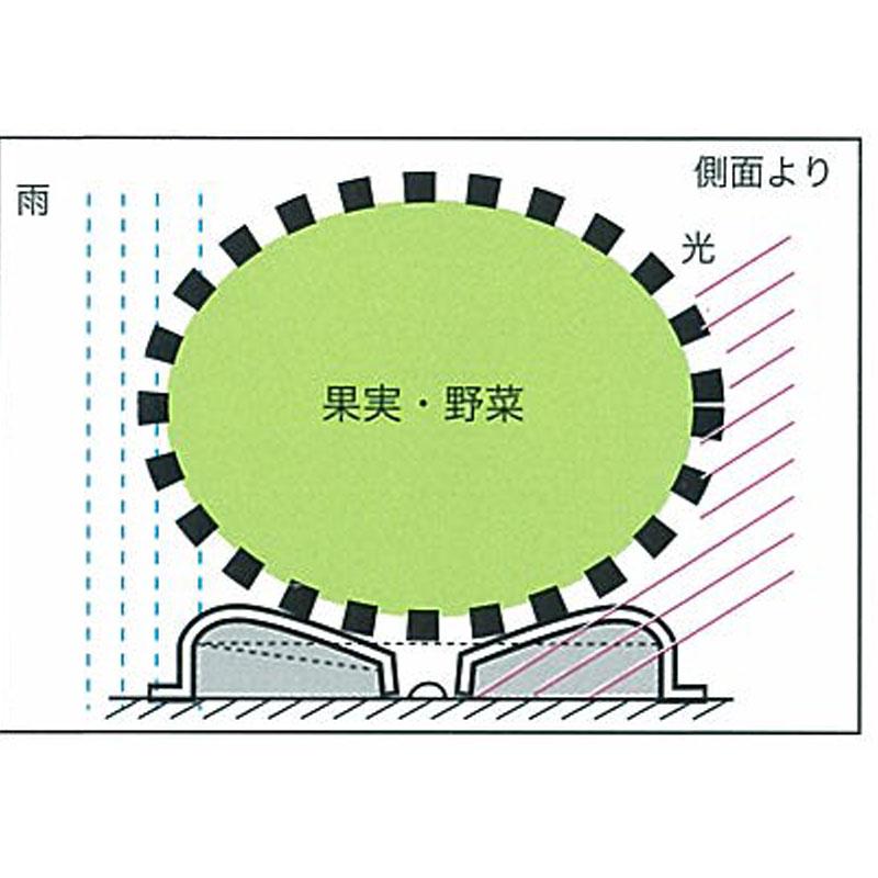 野菜用敷台 トスコFマット スイカ小玉用 2000枚入 ＃115 LLD231 反転作業不要 トスコ カ施 代引不可 個人宅配送不可